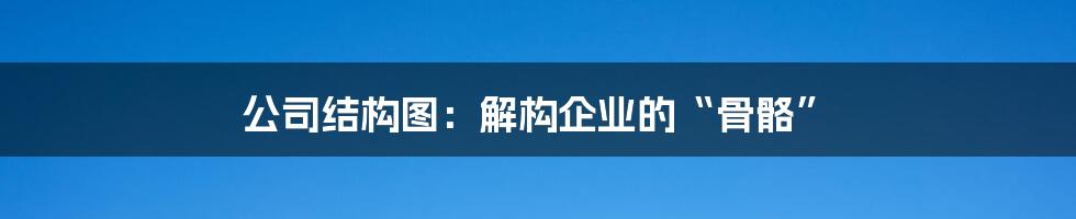 公司结构图:解构企业的“骨骼”