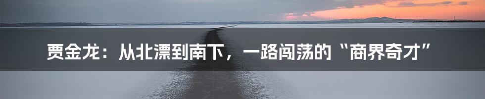 贾金龙:从北漂到南下,一路闯荡的“商界奇才”