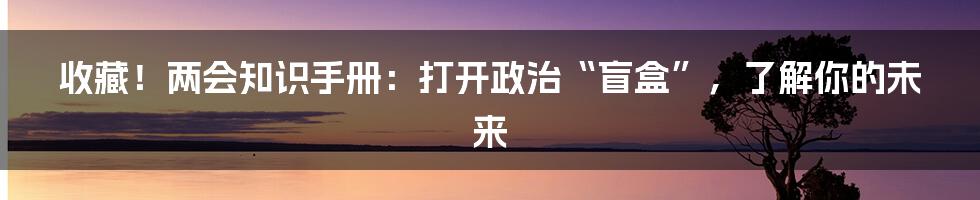 收藏!两会知识手册:打开政治“盲盒”,了解你的未来