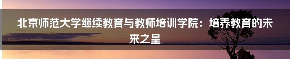 北京师范大学继续教育与教师培训学院：培养教育的未来之星