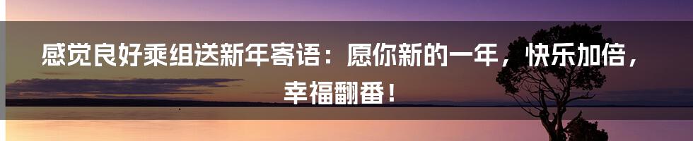 感觉良好乘组送新年寄语:愿你新的一年,快乐加倍,幸福翻番!