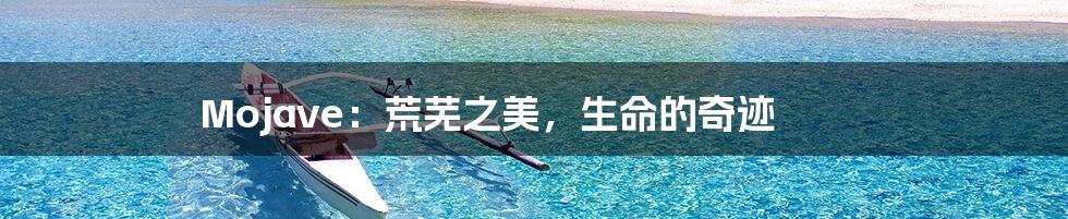 Mojave:荒芜之美,生命的奇迹