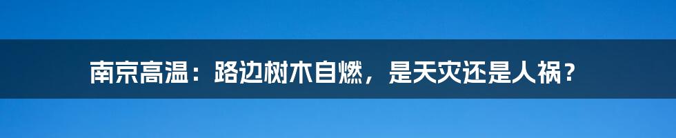 南京高温:路边树木自燃,是天灾还是人祸?