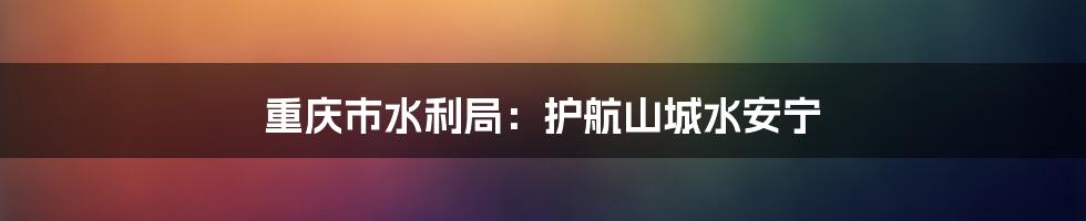 重庆市水利局:护航山城水安宁