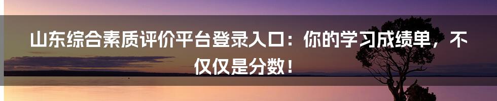 山东综合素质评价平台登录入口：你的学习成绩单，不仅仅是分数！