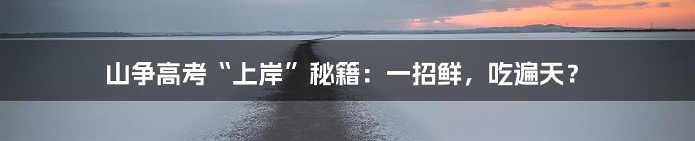 山争高考“上岸”秘籍:一招鲜,吃遍天?