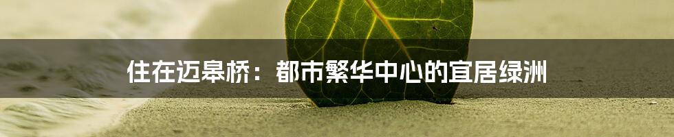住在迈皋桥:都市繁华中心的宜居绿洲