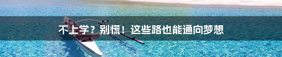 不上学？别慌！这些路也能通向梦想