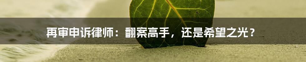再审申诉律师:翻案高手,还是希望之光?