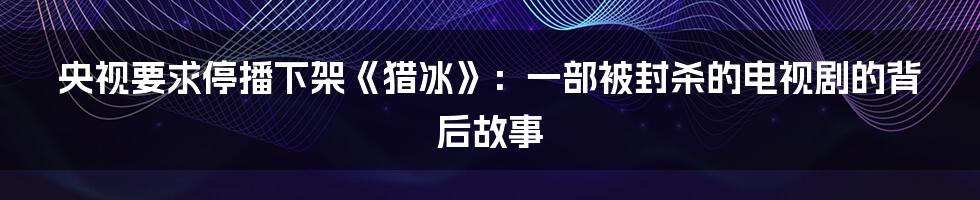 央视要求停播下架《猎冰》:一部被封杀的电视剧的背后故事