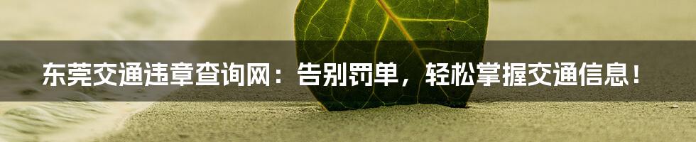 东莞交通违章查询网:告别罚单,轻松掌握交通信息!