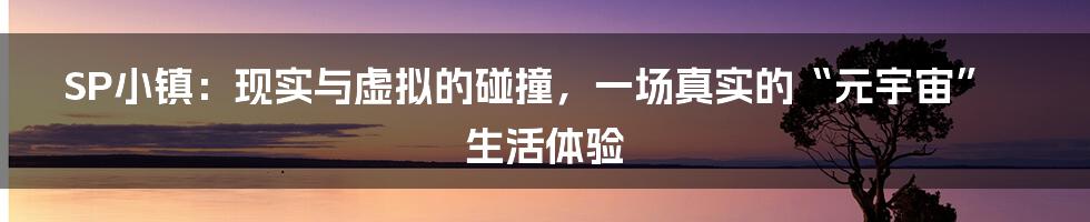 SP小镇:现实与虚拟的碰撞,一场真实的“元宇宙”生活体验