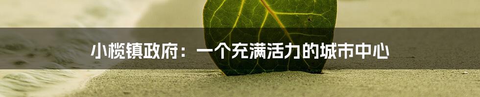 小榄镇政府：一个充满活力的城市中心
