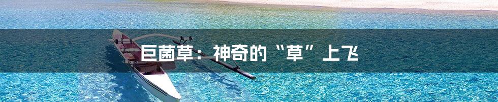 巨菌草:神奇的“草”上飞