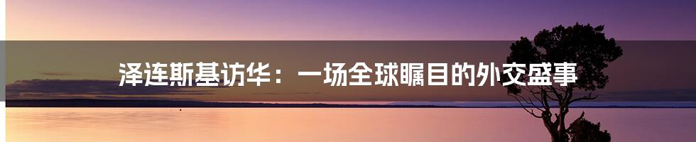 泽连斯基访华:一场全球瞩目的外交盛事