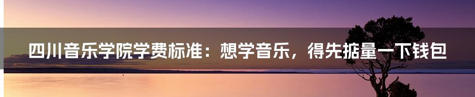 四川音乐学院学费标准:想学音乐,得先掂量一下钱包