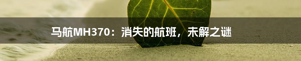 马航MH370:消失的航班,未解之谜