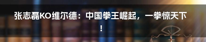 张志磊KO维尔德:中国拳王崛起,一拳惊天下!