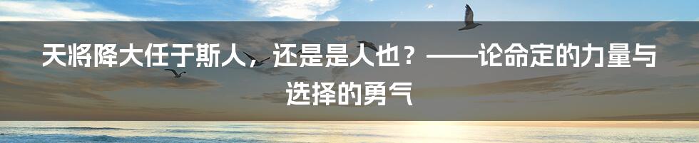 天将降大任于斯人，还是是人也？——论命定的力量与选择的勇气