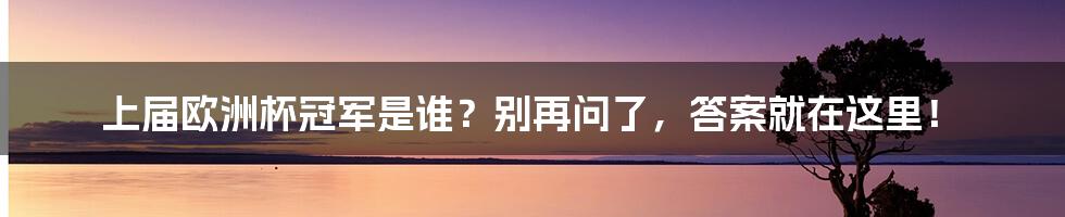 上届欧洲杯冠军是谁?别再问了,答案就在这里!