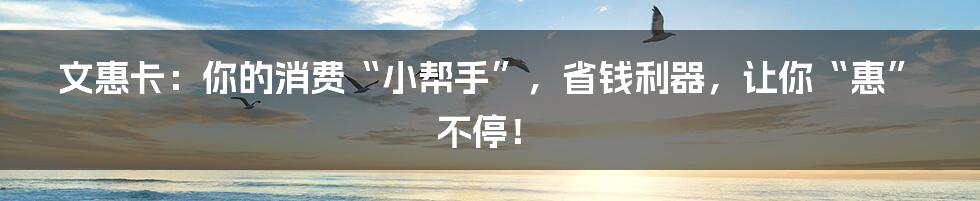 文惠卡：你的消费“小帮手”，省钱利器，让你“惠”不停！