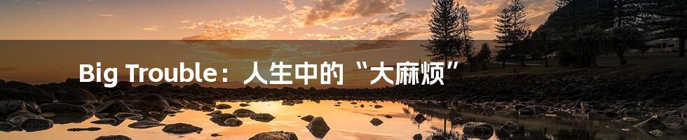 Big Trouble:人生中的“大麻烦”
