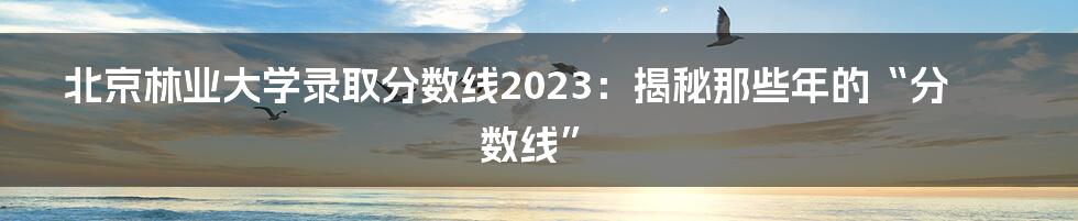 北京林业大学录取分数线2023:揭秘那些年的“分数线”