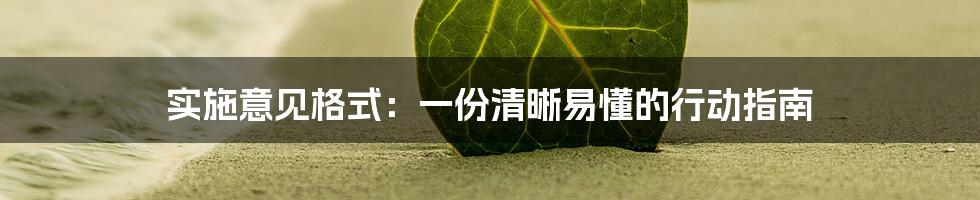 实施意见格式:一份清晰易懂的行动指南