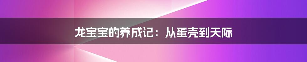 龙宝宝的养成记:从蛋壳到天际
