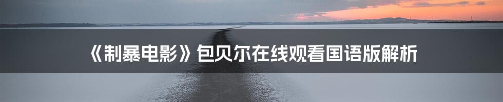 《制暴电影》包贝尔在线观看国语版解析