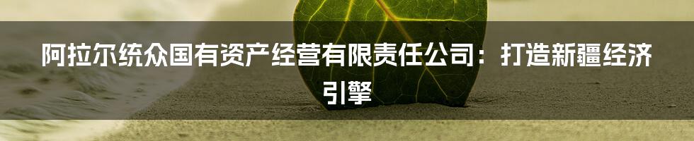 阿拉尔统众国有资产经营有限责任公司:打造新疆经济引擎