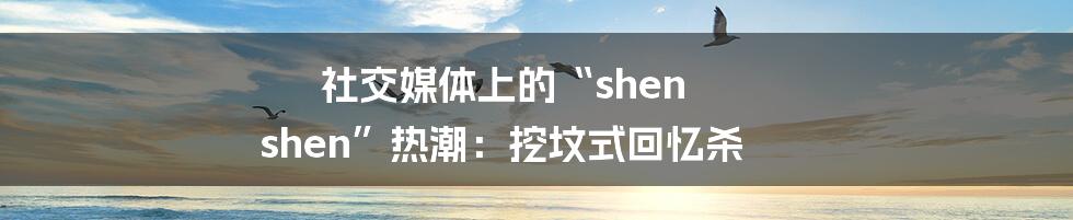 社交媒体上的“shen shen”热潮:挖坟式回忆杀