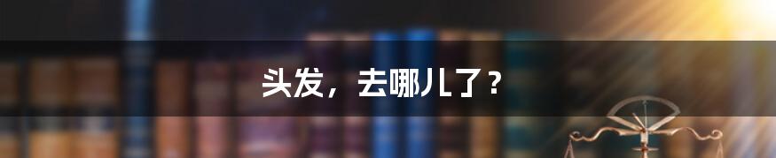 头发,去哪儿了?