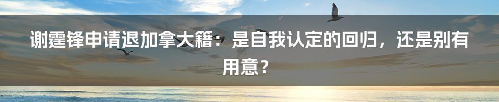 谢霆锋申请退加拿大籍:是自我认定的回归,还是别有用意?