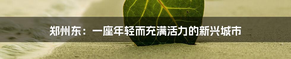 郑州东:一座年轻而充满活力的新兴城市