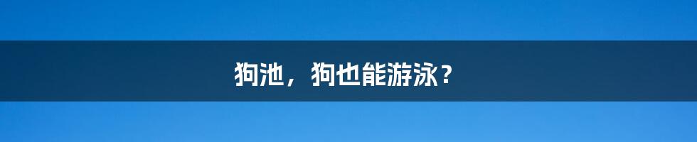 狗池,狗也能游泳?