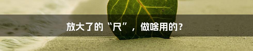 放大了的“尺”,做啥用的?