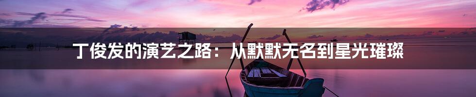 丁俊发的演艺之路:从默默无名到星光璀璨