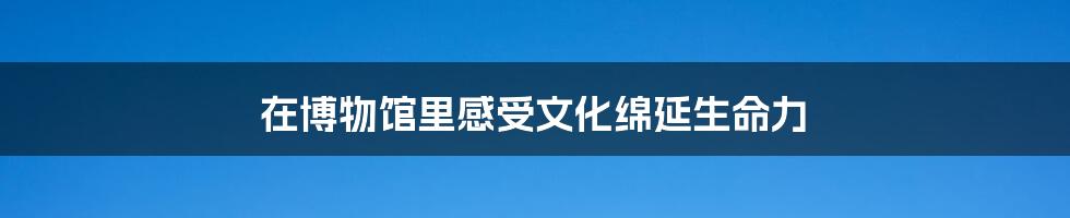 在博物馆里感受文化绵延生命力