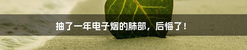 抽了一年电子烟的肺部,后悔了!