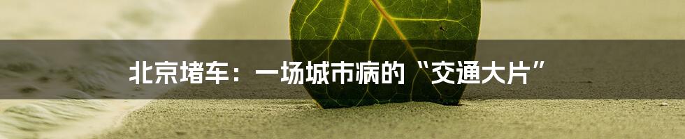 北京堵车:一场城市病的“交通大片”