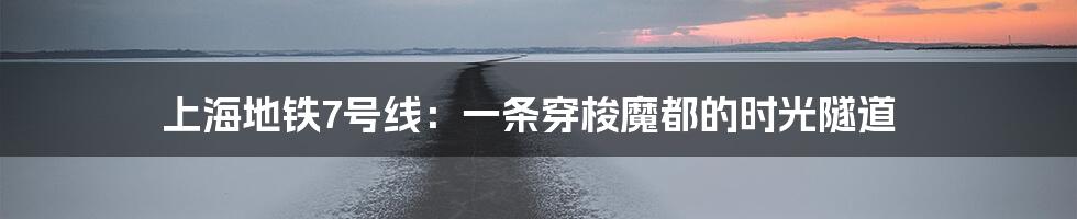 上海地铁7号线:一条穿梭魔都的时光隧道