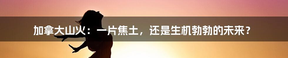 加拿大山火：一片焦土，还是生机勃勃的未来？