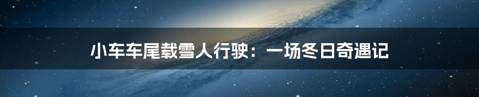 小车车尾载雪人行驶：一场冬日奇遇记