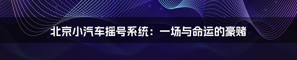 北京小汽车摇号系统:一场与命运的豪赌