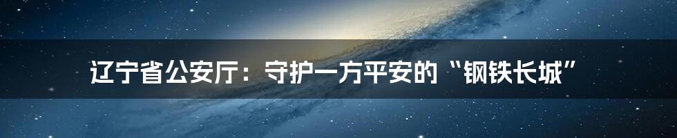 辽宁省公安厅:守护一方平安的“钢铁长城”