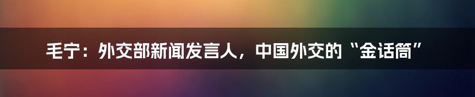毛宁:外交部新闻发言人,中国外交的“金话筒”