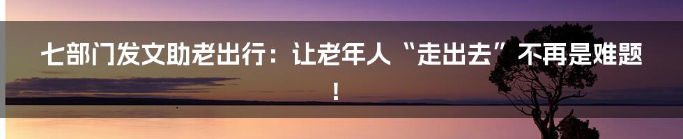 七部门发文助老出行:让老年人“走出去”不再是难题!