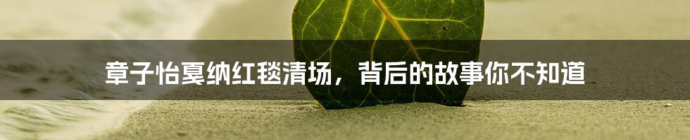 章子怡戛纳红毯清场,背后的故事你不知道