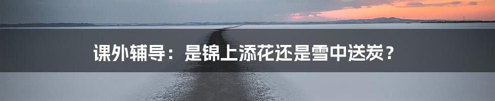 课外辅导:是锦上添花还是雪中送炭?